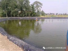 藕池防渗和鱼塘防渗时土工膜的使用